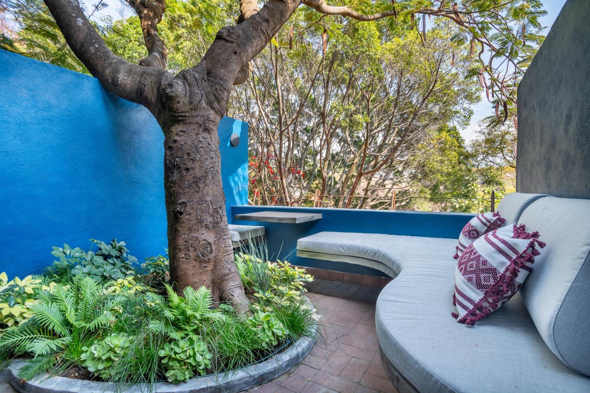 Casa Cristina Fresh Boutique Hotel 쿠에르나바카 외부 사진